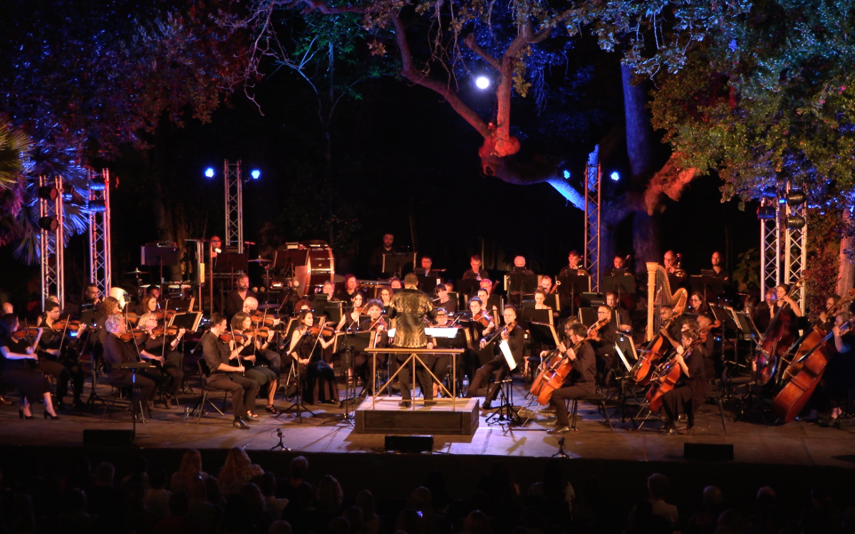 The Cape Town Philharmonic Orchestra